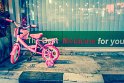 gekoo_058